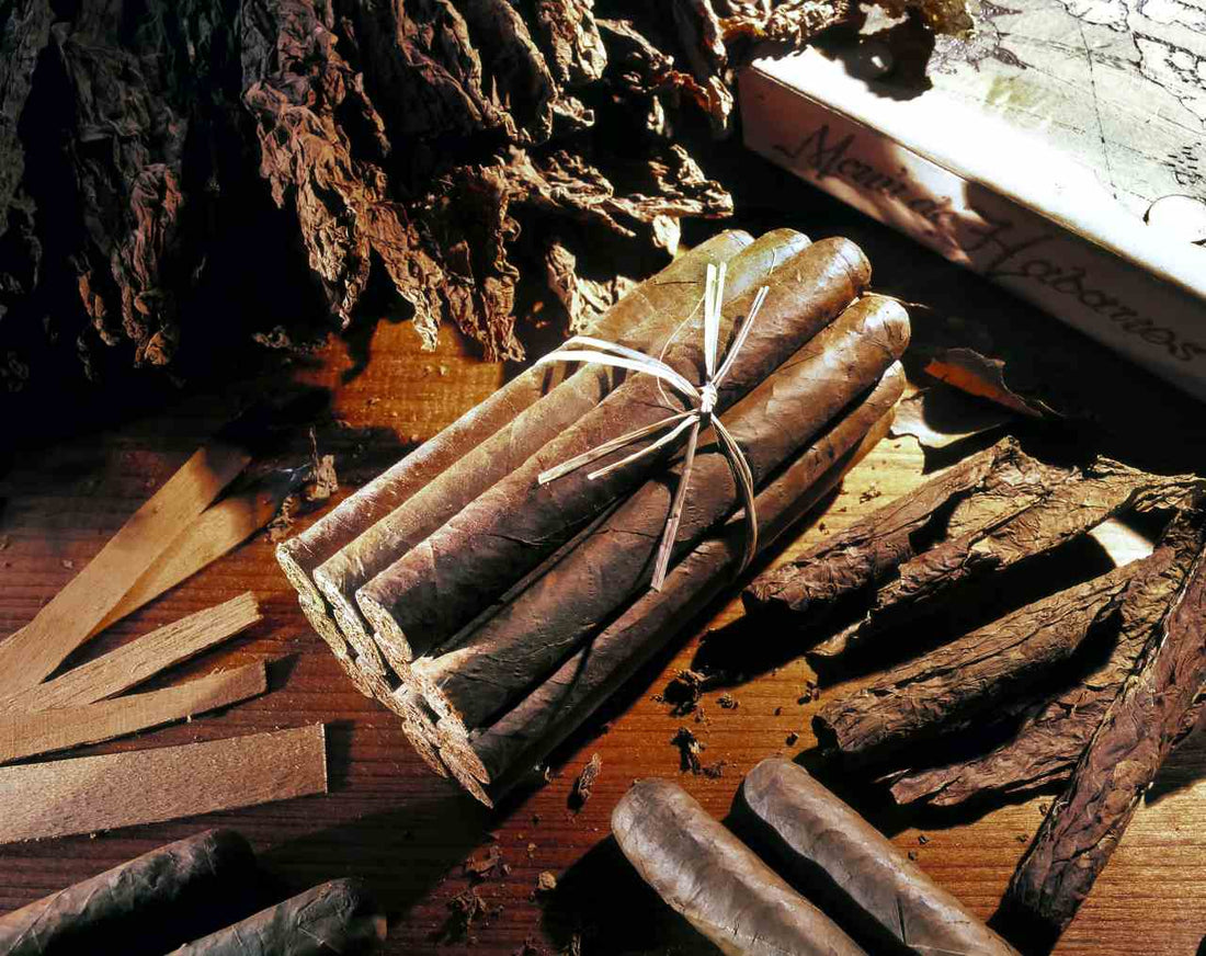 Cigar Producing Countries: Does It Matter Where Your Cigar Came From?