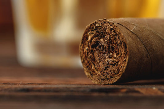Front side of a cigar close up tobacco