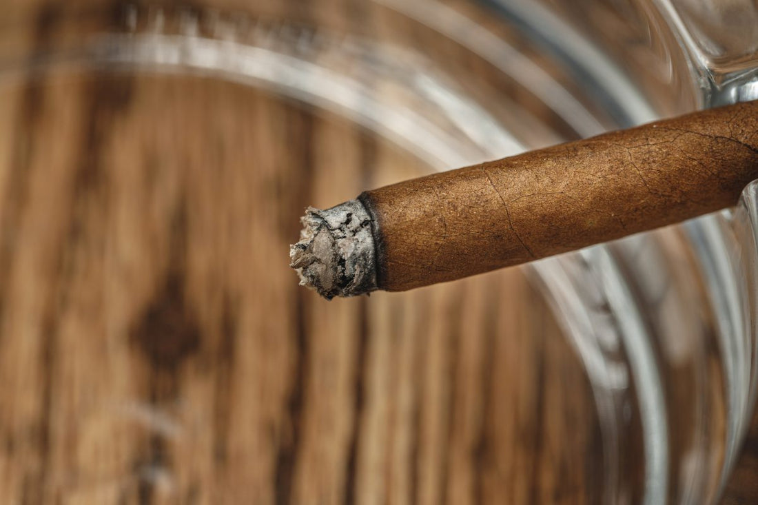 Lighted cigar in an ashtray close up