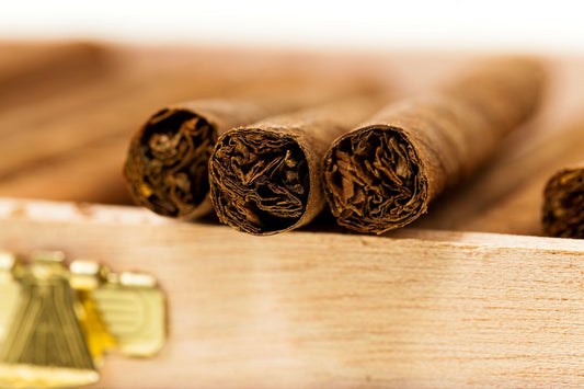 cigars close up