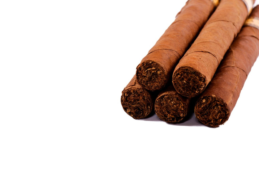 Cigars isolated on white