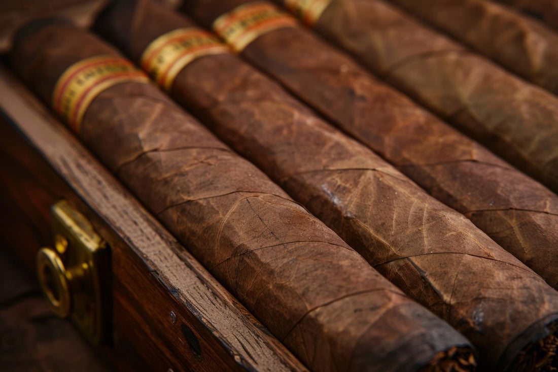 Close-up of Rolled Cigars in Wooden Box