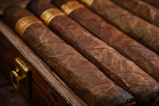 Close-up of Rolled Cigars in Wooden Box