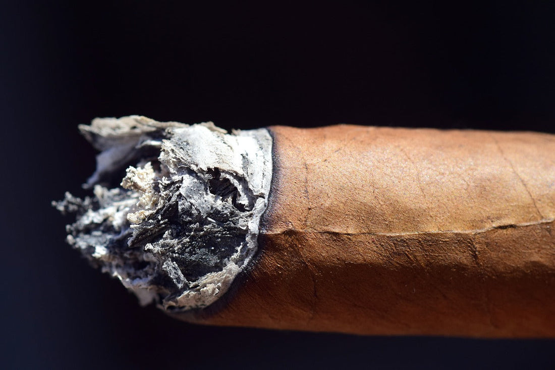 Demystifying the Different Cigar Tobaccos