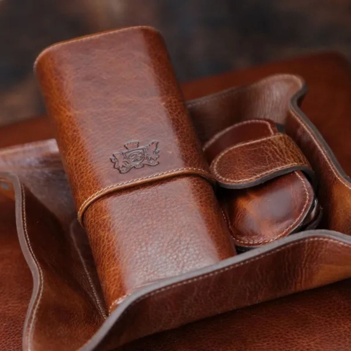 Brizard & Co Show Band Antique Saddle Leather 3-Finger Hard Cigar Case - Collection 3