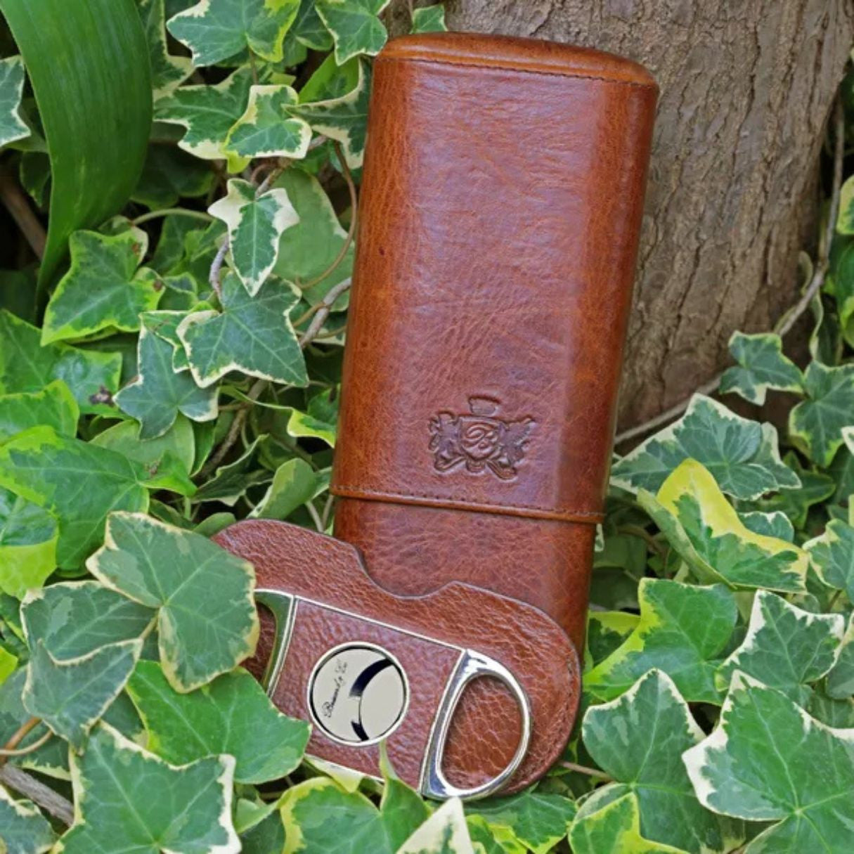 Brizard & Co Show Band Antique Saddle Leather 3-Finger Hard Cigar Case - Collection 4