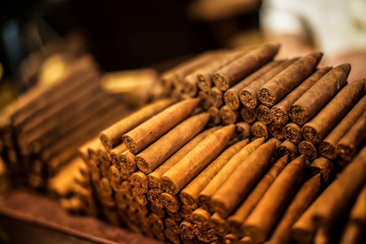 cuban cigars on shelf
